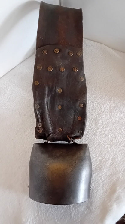 CLOCHE A VACHE CHAMONIX MSD N°6
