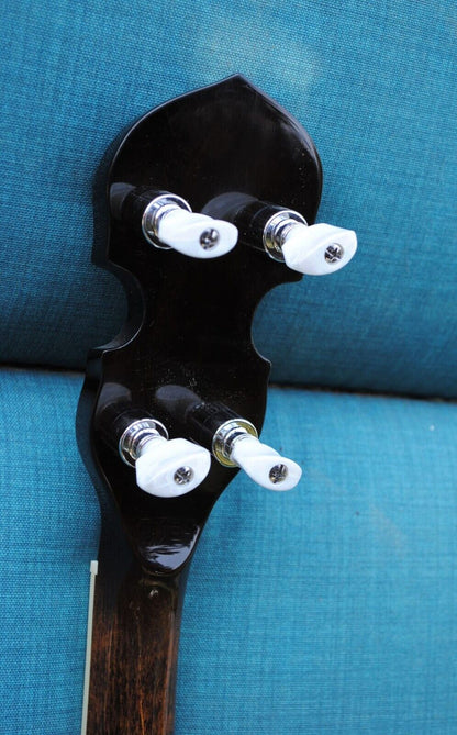 Banjo ténor ton or Master Tone IT-250