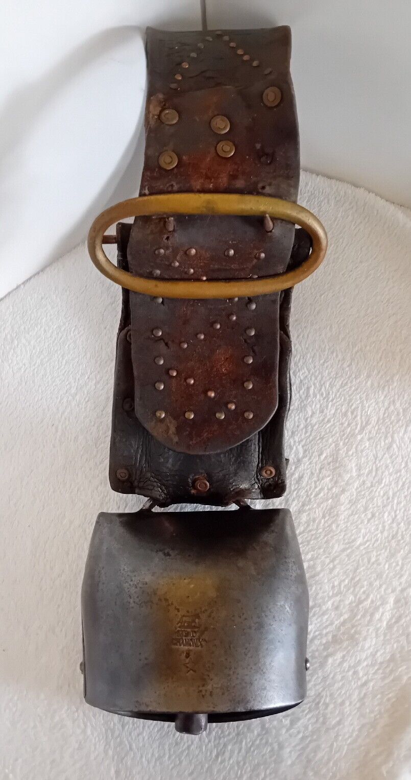 CLOCHE A VACHE CHAMONIX MSD N°6